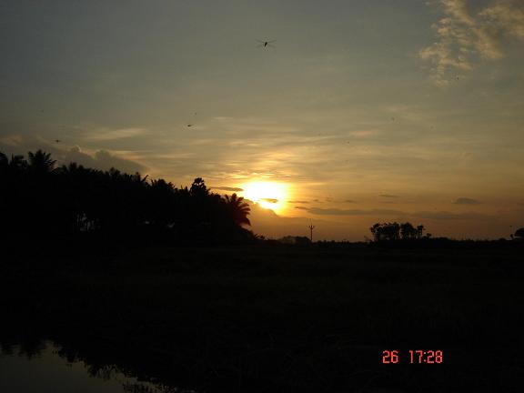 Evening Show