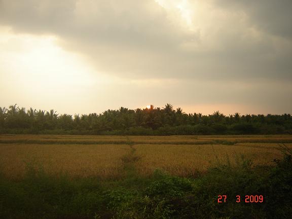 EveningShow