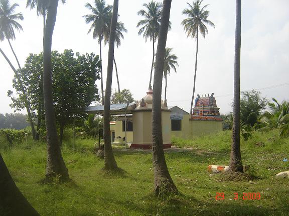 காடம்பரி அம்மன் கோவில்