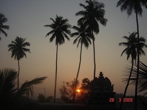 காடம்பரி அம்மன் கோவில்