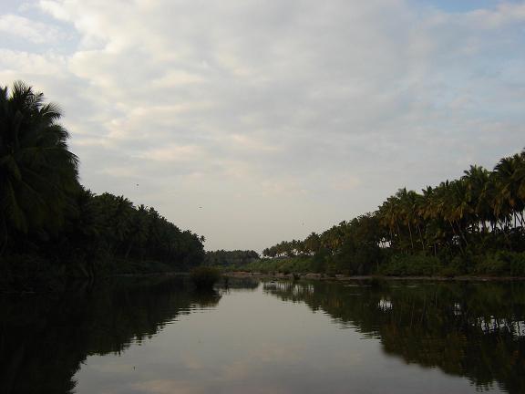 River Show
